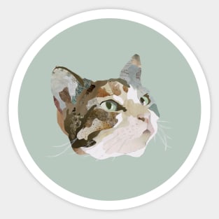 Venus the Calico Sticker